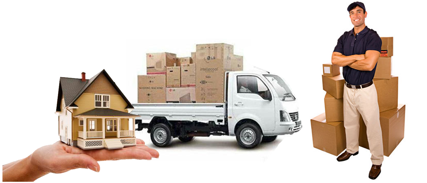 best movers adelaide
